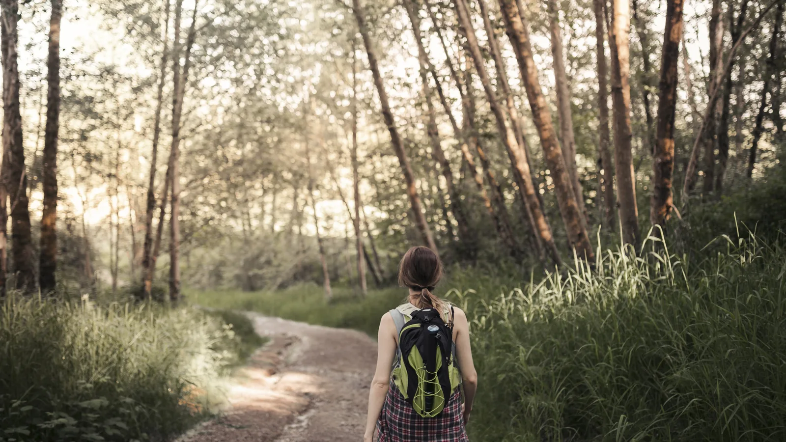 Frau geht auf einem sonnigen Waldweg