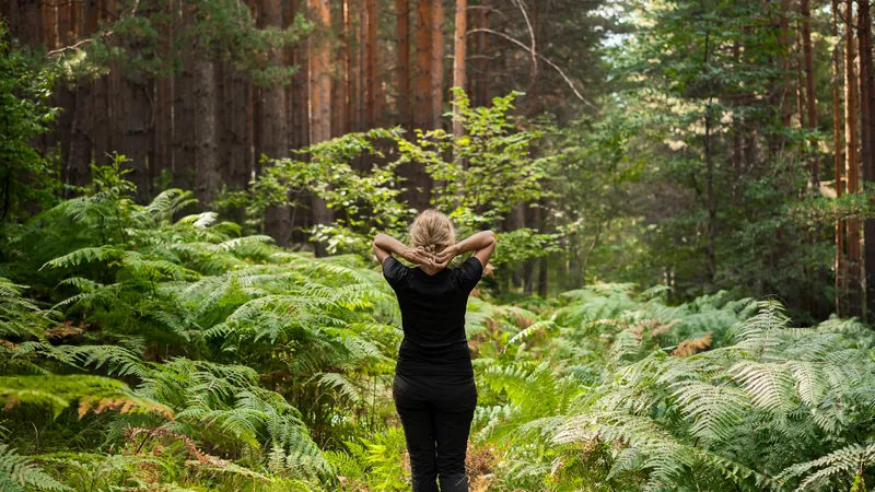 Frau geht auf einem Waldweg zwischen Farnen