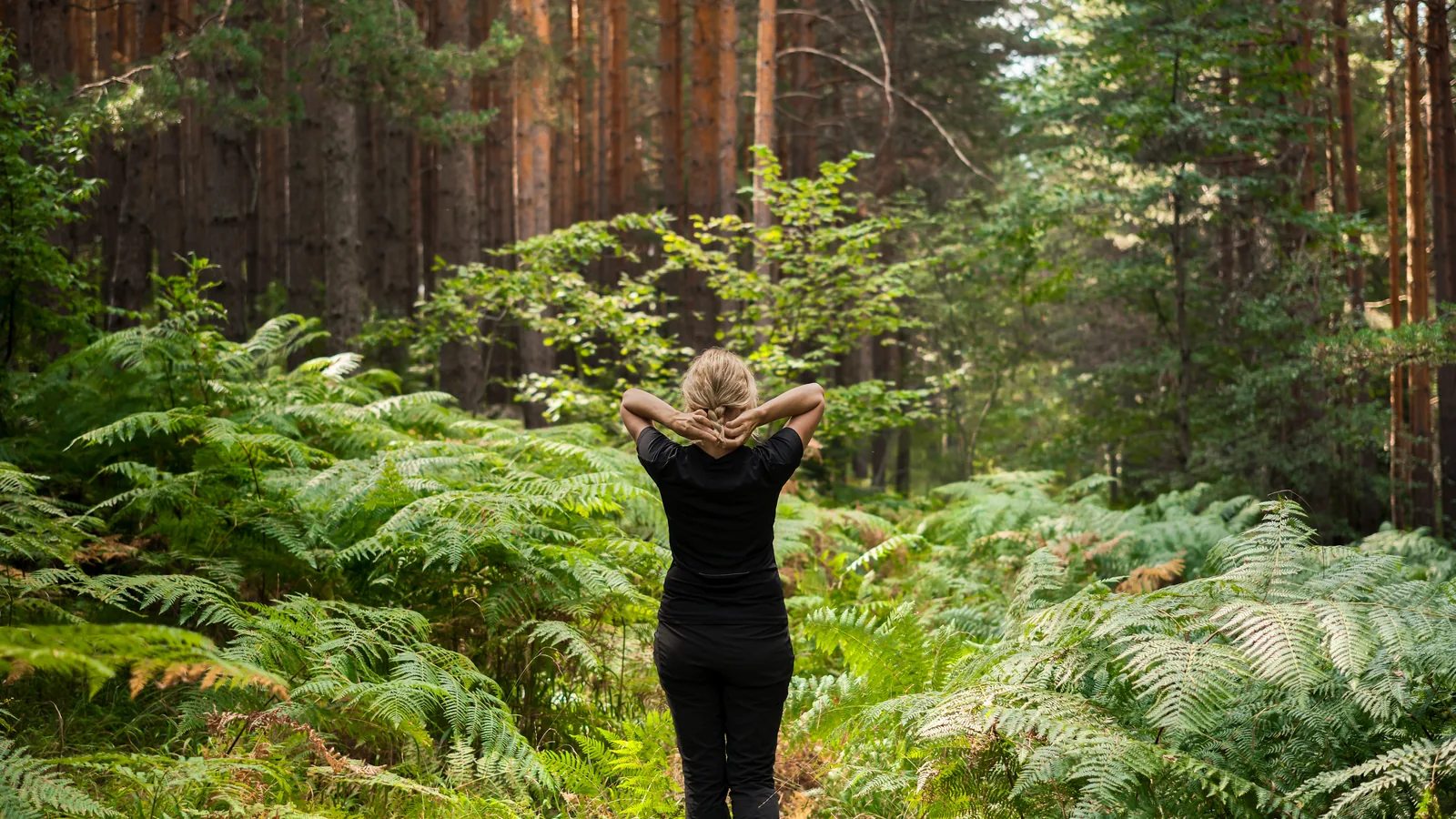 Frau geht auf einem Waldweg zwischen Farnen